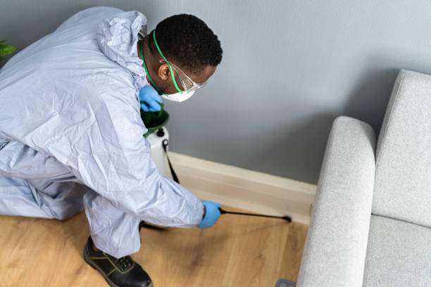 Professional Pest control in Fanwood, NJ